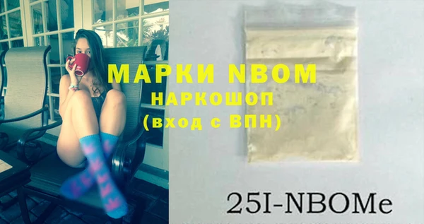 сатива Новодвинск