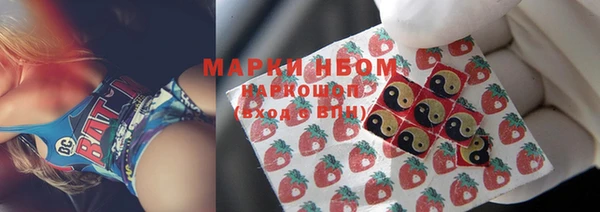 трава Новозыбков