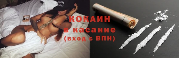 трава Новозыбков