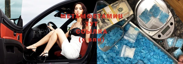 сатива Новодвинск