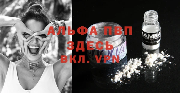 трава Новозыбков