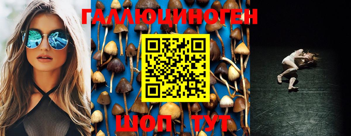 Псилоцибиновые грибы мицелий  Северодвинск 